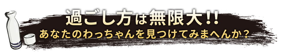 過ごし方は無限大！！