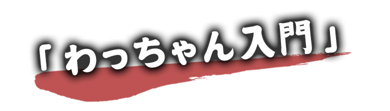 「わっちゃん入門」