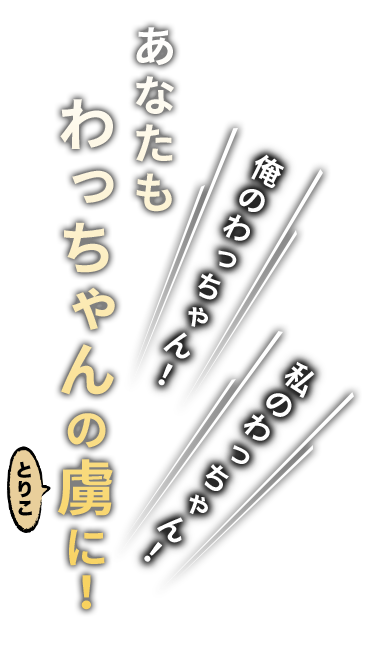 あなたもわっちゃんの虜に！