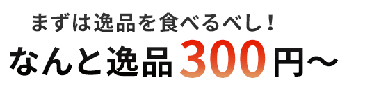 なんと逸品300円～